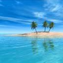 - - wallpaper preview