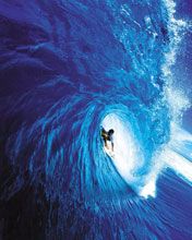 surf - wallpaper preview