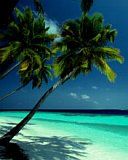 - - wallpaper preview