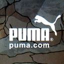 Puma - wallpaper preview