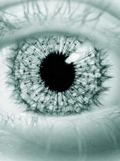 Eye - wallpaper preview
