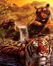 Tiger - wallpaper preview