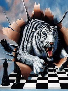 Tiger - wallpaper preview
