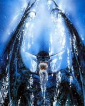 - - wallpaper preview