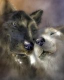 wolfs - wallpaper preview