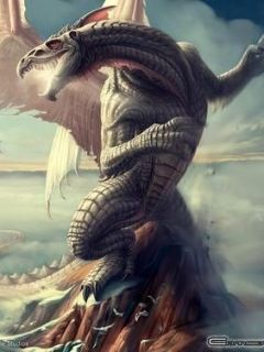 - - wallpaper preview