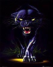 - - wallpaper preview