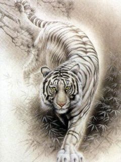 Tiger - wallpaper preview