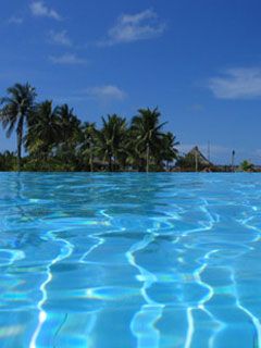 Polynesie - wallpaper preview