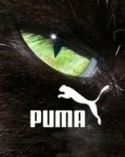 puma - wallpaper preview