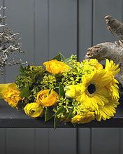 - - wallpaper preview