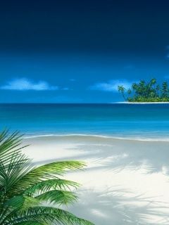 - - wallpaper preview