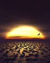 - - wallpaper preview