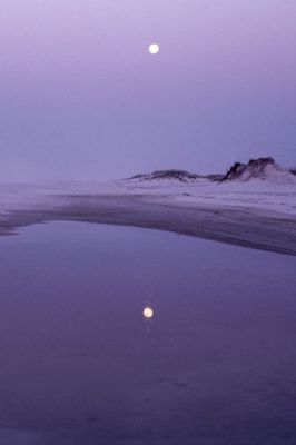 - - wallpaper preview