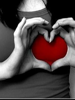 - - wallpaper preview