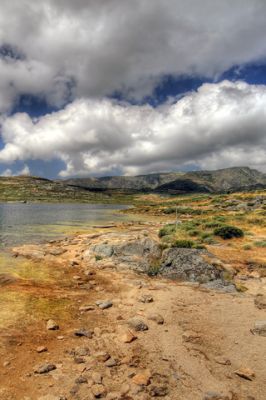 - - wallpaper preview