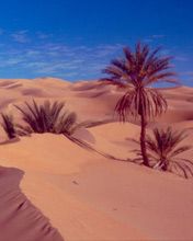 Libia - wallpaper preview