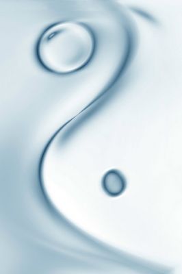 Yin-Yang - wallpaper preview
