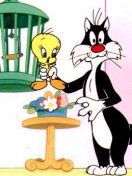 Sylvester e Tweety