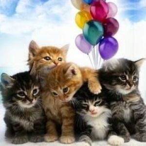 Gatinhos Fofos com Balões