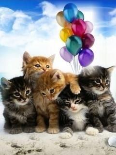 Gatinhos Fofos com Balões