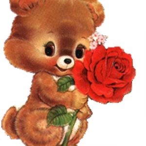 Ursinho Fofo com Rosa