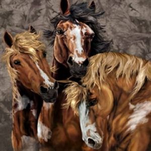 Retrato de Cavalos Bonitos