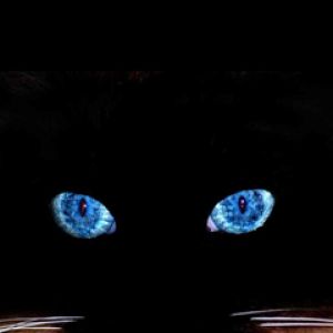 Olhos de Gato Místicos