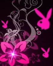 Design floral rosa com coelhinhos