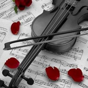 Violino com Rosas