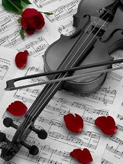 Violino com Rosas