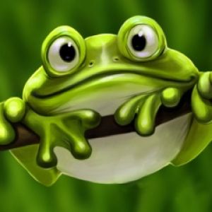 Sapo Verde Fofo