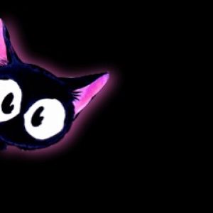 Gato Preto Fofo