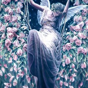 Anjo Entre Rosas