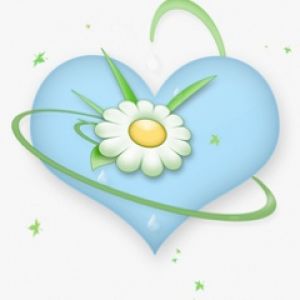 Coração Azul com Margarida