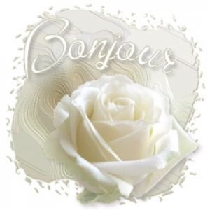 Rosa Branca Elegante com Bonjour