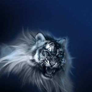 Tigre Branco Majestoso