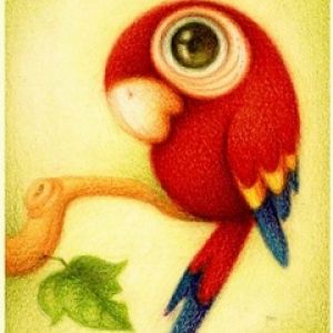 Ilustração de Papagaio Colorido