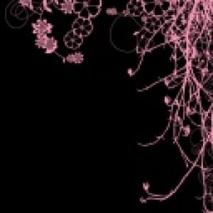 Design Floral Abstrato Rosa