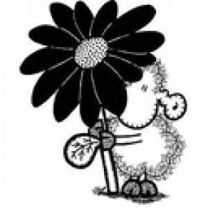 Ovelha Fofa com Flor