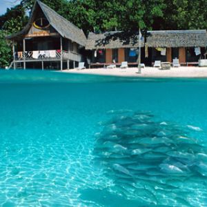 Paraíso Tropical com Peixes
