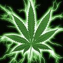 Folha de Cannabis Verde Elétrica