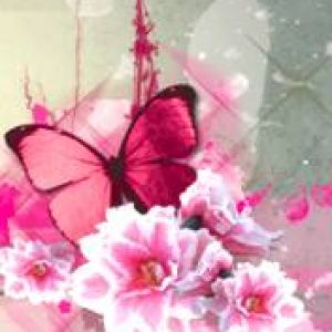 Borboleta e Flores