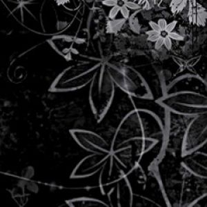 Design Floral Abstrato Elegante