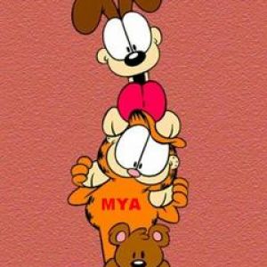 Garfield e amigos