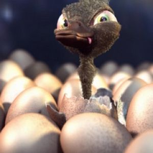 Avestruz Animado Fofo Nascendo