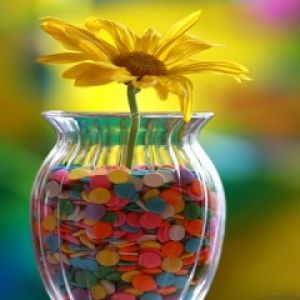 Flor Colorida em Vaso
