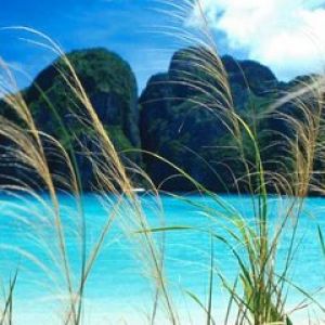 Paraíso da Praia Tropical