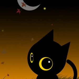 Gato Preto Fofo Sob a Luz da Lua