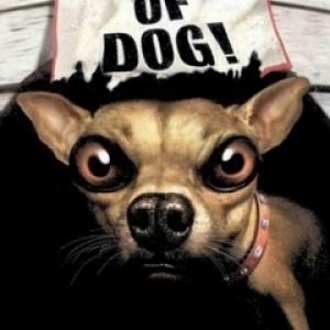 Ilustração Cuidado com o Cão
